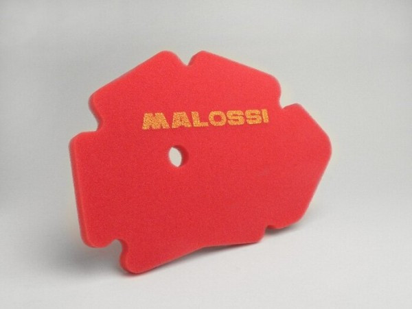 Air Filter Malossi Red Sponge