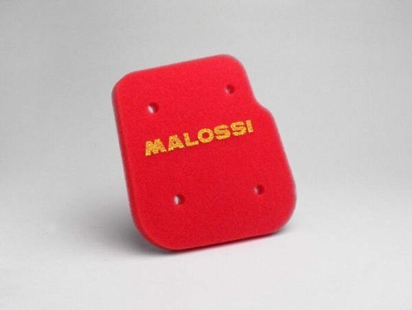 Air Filter Malossi Red Sponge