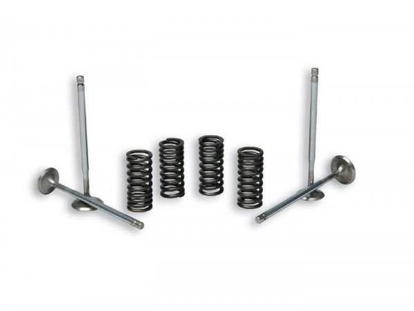 Valves + Valve Springs Malossi