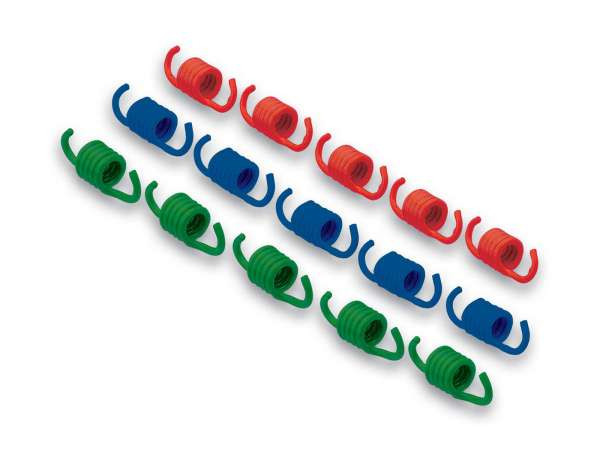 Clutch Spring Set Malossi
