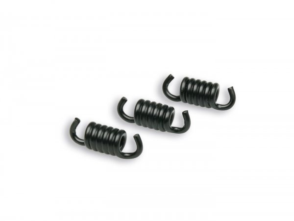 Clutch Spring Set Malossi Racing