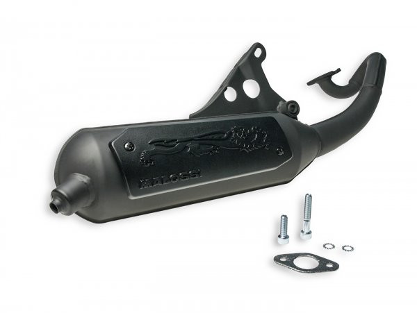 Exhaust Malossi Wild Lion Homolgated