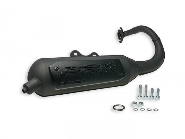 Exhaust Malossi Wild Lion Homolgated