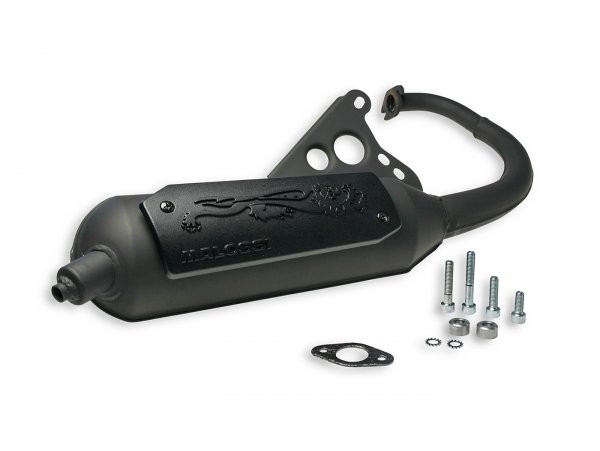 Exhaust Malossi Wild Lion Homolgated