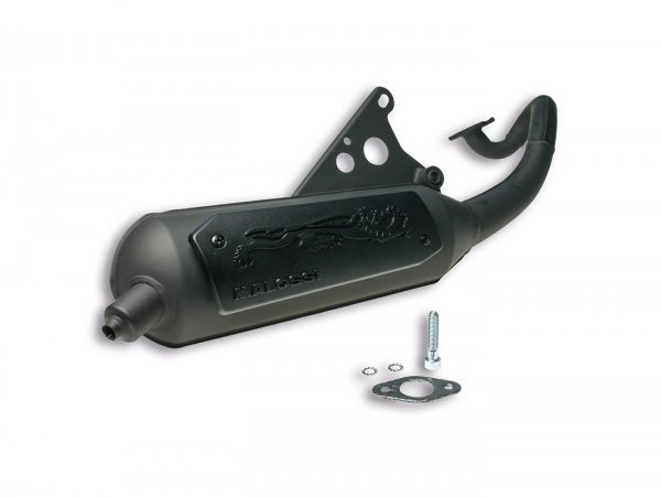 Exhaust Malossi Wild Lion Homolgated