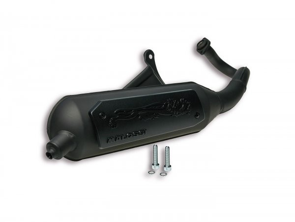 Exhaust Malossi Wild Lion Homolgated