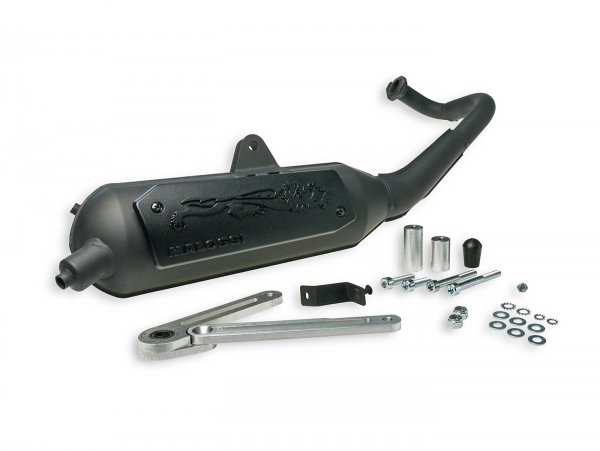 Exhaust Malossi Wild Lion Homolgated