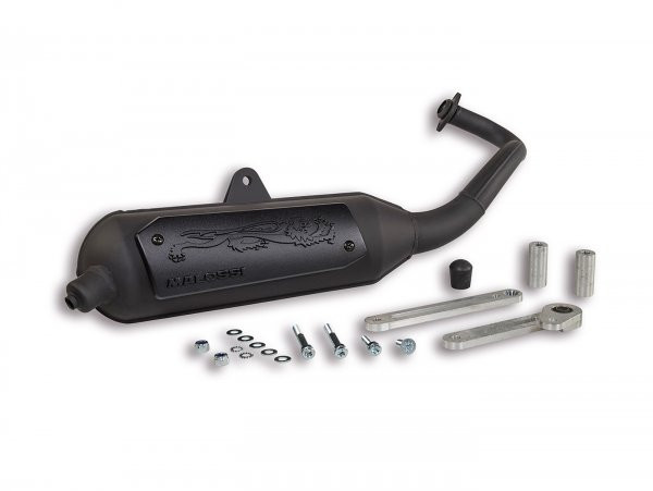 Exhaust Malossi Wild Lion Homolgated