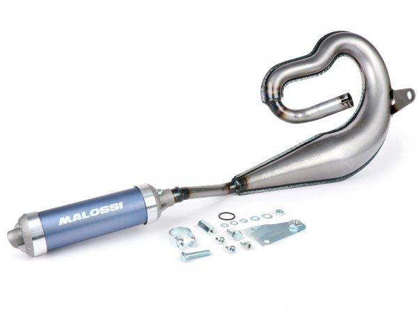 Exhaust Malossi Too Bad