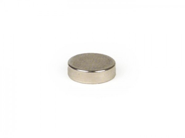 Magnet For Speedo Koso Ø=10x3mm