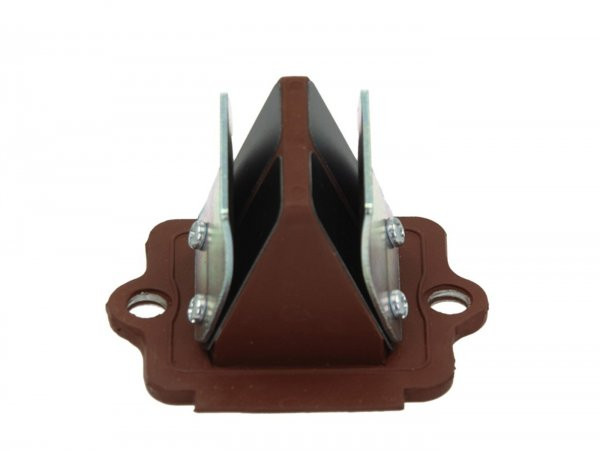 Reed Valve Piaggio