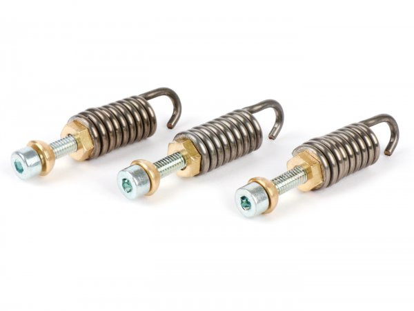 Clutch Spring Set Polini For Race 3g, Ø2.0mm