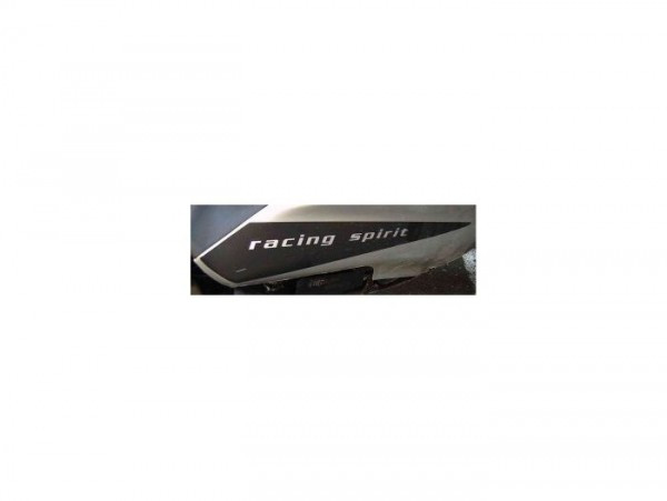 PlaKetting Piaggio- Gilera Runner