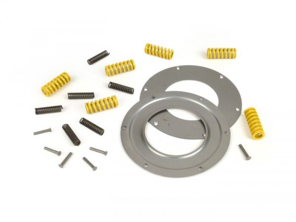 Primary Gear Repair Kit Drt 12 Springs (reinforced)