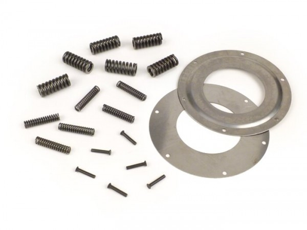 Primary Gear Repair Kit Piaggio  12 Springs