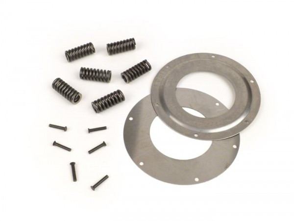 Primary Gear Repair Kit Piaggio  6 Springs