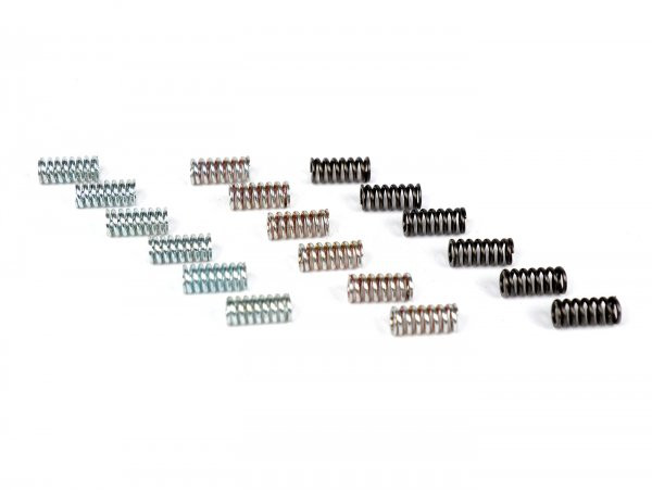 Racing Clutch Springs Malossi