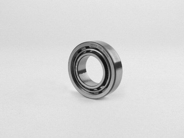 Roller Bearing Nu1005