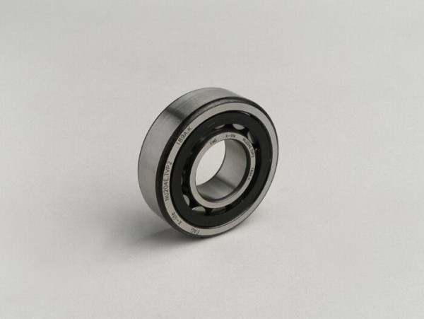 Roller Bearing Nu204etvp2