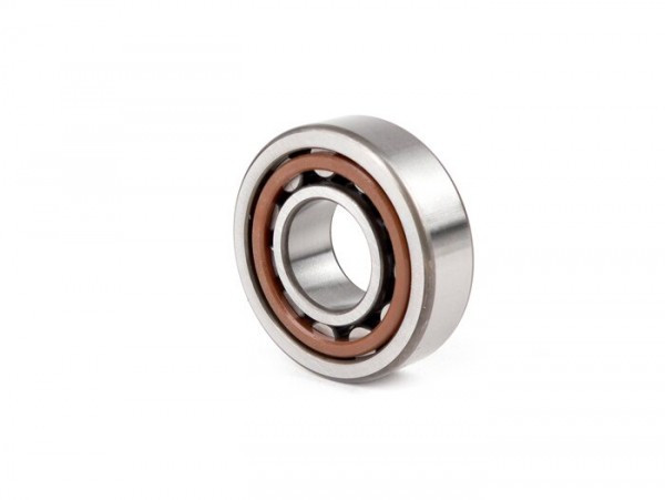 Roller Bearing Nu204 Ecp