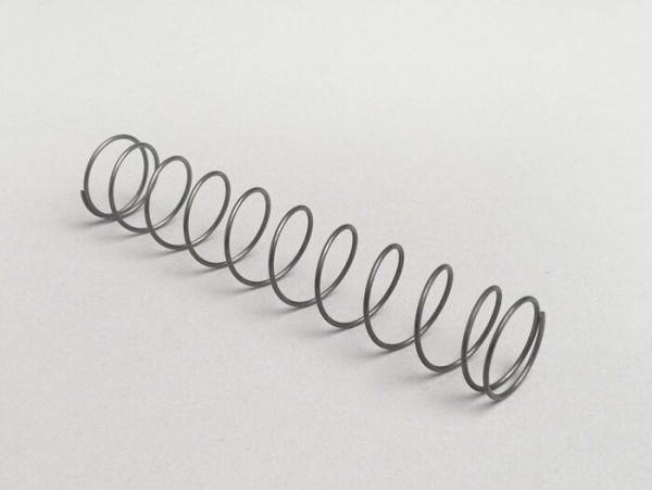 Throttle Slide Spring Dellorto