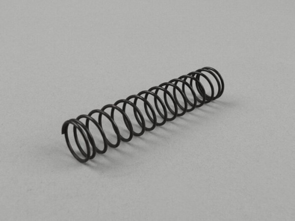Throttle Slide Spring Dellorto