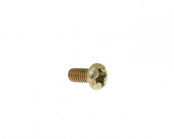 Carburetor Choke Mounting / Air Cut Valve Screw 101 Octane
