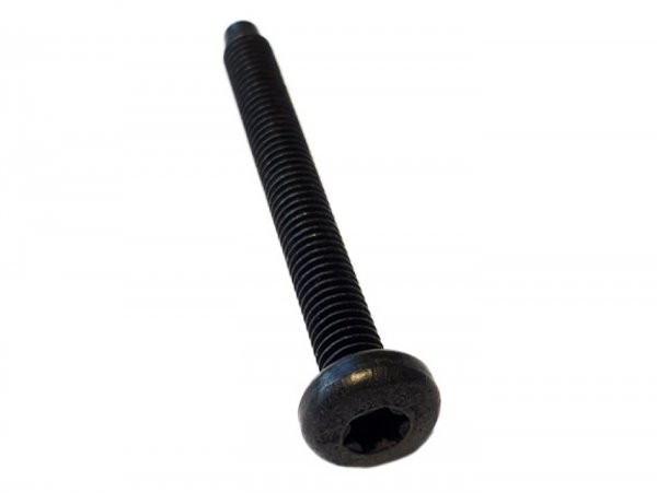 Screw Din 7985 Tx Similar M6 X 55mm