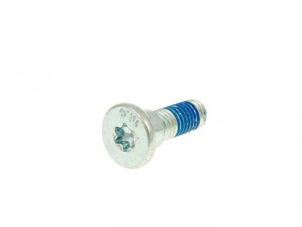 Screw Flat Head Universal For Brake Discs M8 (for Brake Discs With 10mm Hole)  1 Piece