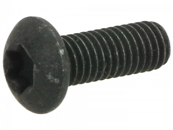 Screw Torx Iso 7380/1 M5 X 14mm Tx25