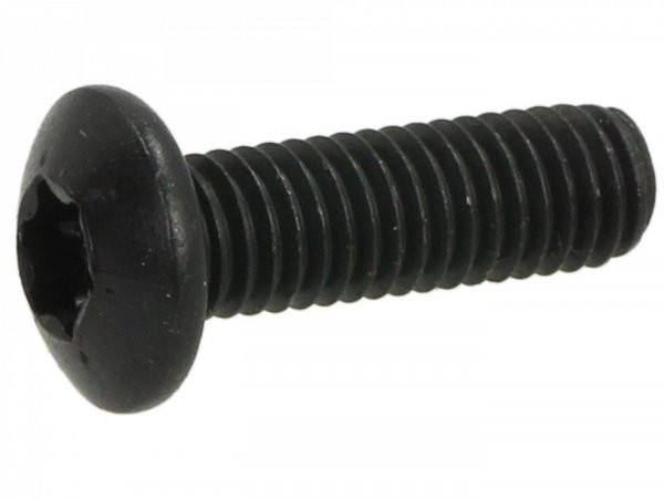 Screw Torx Iso 7380/1 M5 X 16mm Tx25