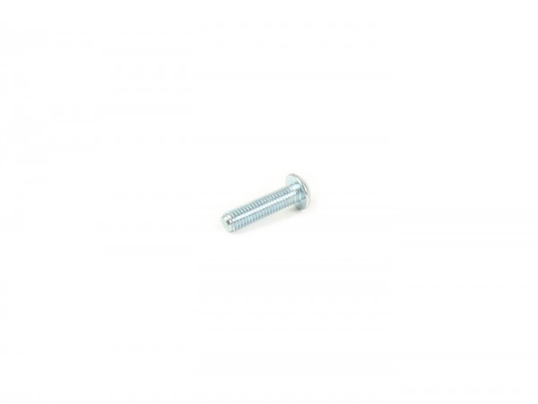 Screw Torx Iso 7380/1 M5 X 20mm Tx25  10.9