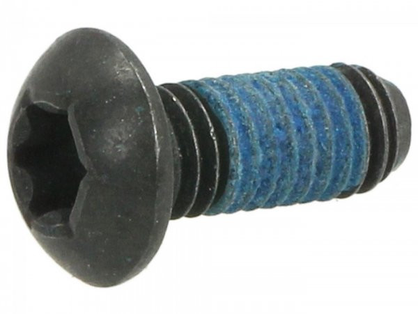 Screw Lens Head Torx M5 X 12 Iso7380-1 Tx