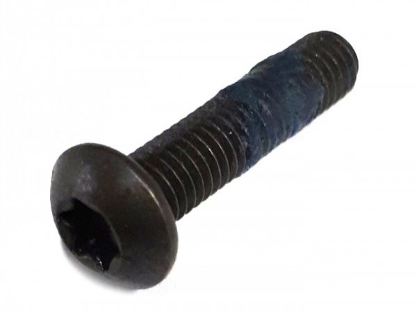 Screw Lens Head Torx M5 X 22 Iso7380-1 Tx