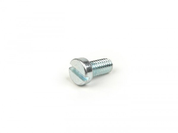 Screw M6 X 10mm (used For Carburetor Box Fastening Px Efl/cosa/t5)
