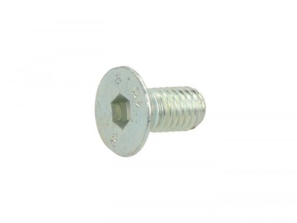 Schroef Inbus Verzonken -din7991- M6 X 12mm