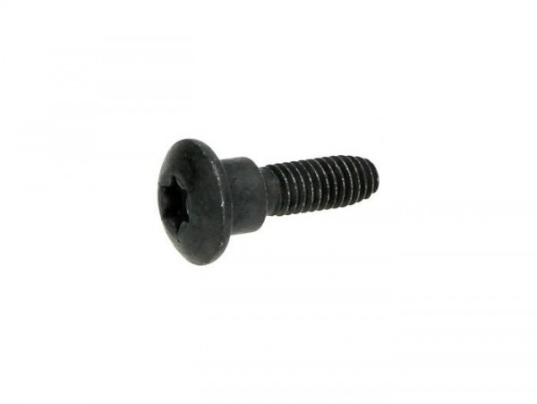 Screw Body Parts M6 X 22mm With Step Piaggio Phillips Head