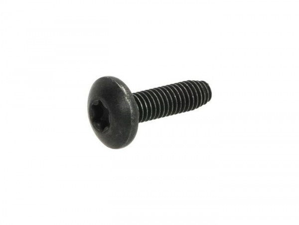 Screw Body Parts M6 X 22mm W/o Step Piaggio Torx Head