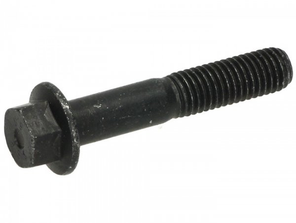 Screw With Flansh M10 X 55mm