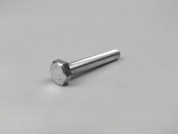 Schroef Met Flens -m6 X 40mm- -peugeot- (toegepast Voor Variodeckel Peugeot)