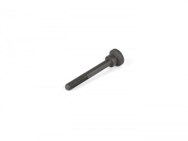 Screw (type With Knurled Head) M4 X 30mm