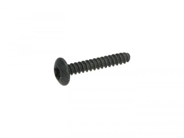 Self Tapping Screw 4.2 X 25mm Piaggio