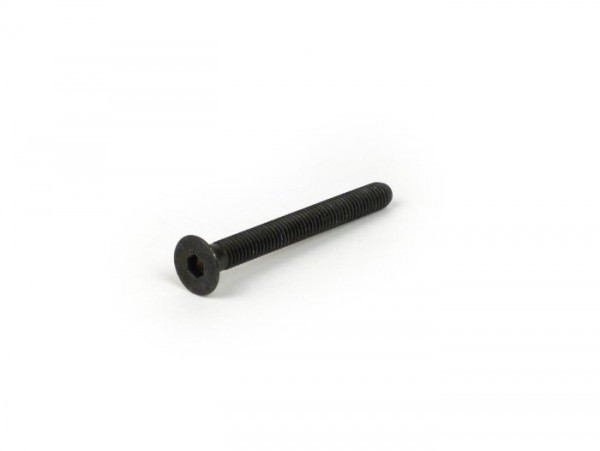 Torx Headscrew Din7991- M6 X 55mm (tensile Strenght 10.9)  Used For Handlebar End Weights Vespa Gts