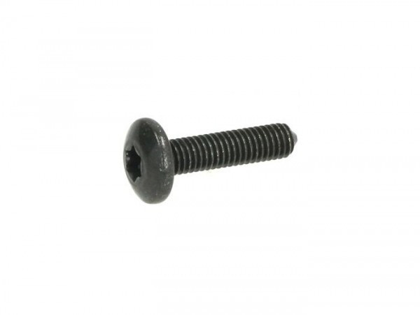 Screw Body Parts M6 X 16mm W/o Step Piaggio Torx Head