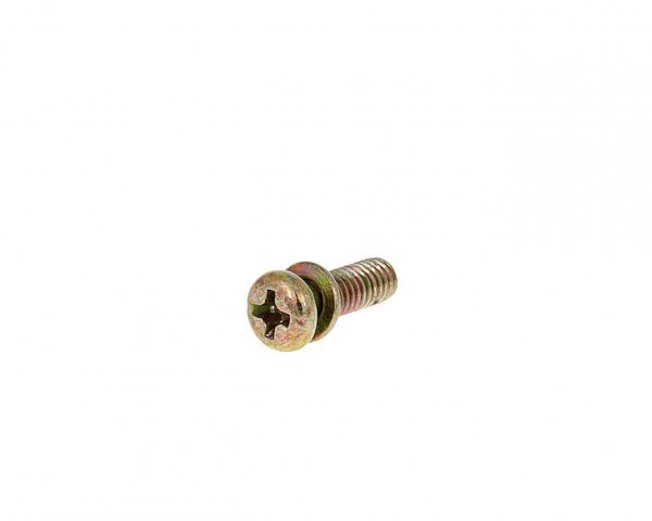 Carburetor Float Bowl Screw