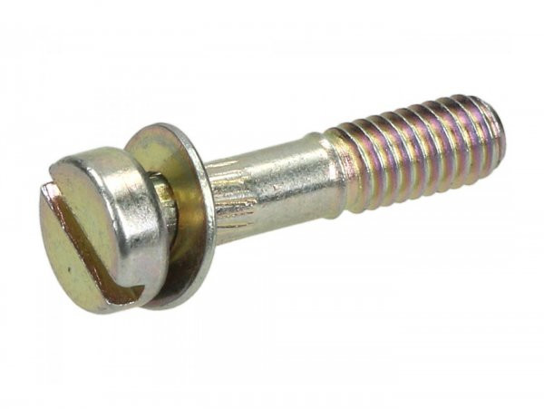 Screw Float Chamber Dellorto