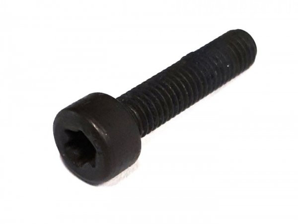 Screw Torx M5 X 22 Iso14579 Tx