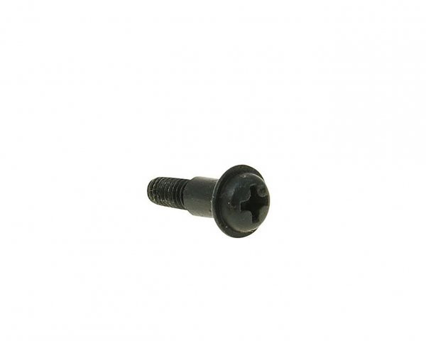 Carburetor Cover Screw (plastic Cover)