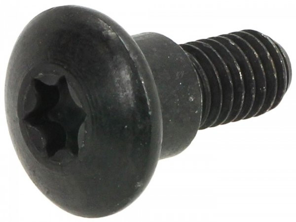 Screw Body Parts M6 X 10mm With Step Piaggio Torx Head