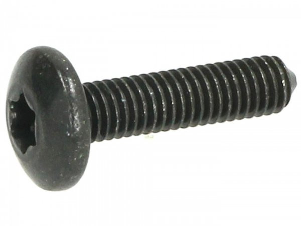 Screw Body Parts M6 X 25mm W/o Step Piaggio Torx Head